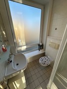 Marshallsingel 23027.JPG